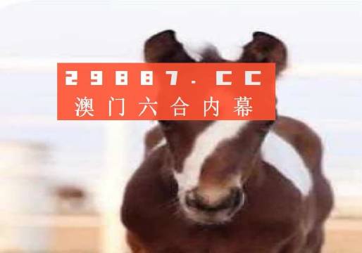 澳门精准一肖一码100%,经典解释落实_户外版4.528