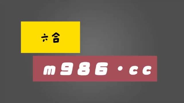 白小姐三肖必中生肖开奖号码刘佰,决策资料解释落实_储蓄版8.676