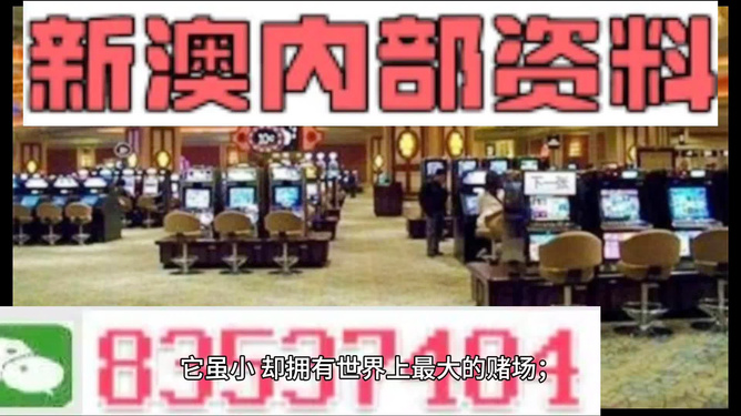 澳门精准正版免费大全14年新,快速解答解释落实_标配版48.62.91