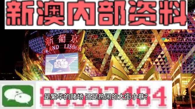 2024新澳最精准资料,决策资料解释落实_储蓄版8.678