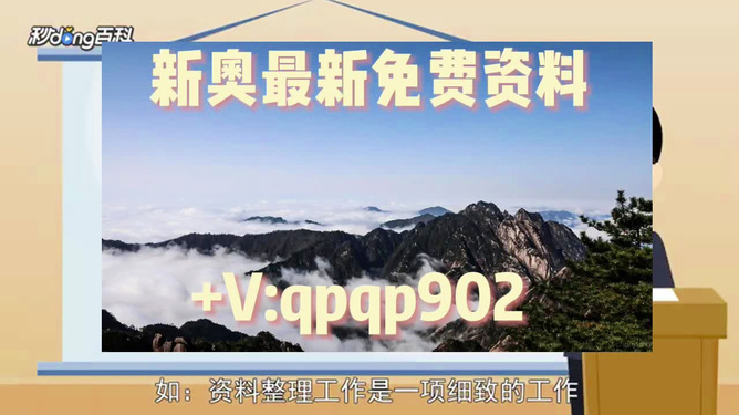 2024新奥资料免费精准,决策资料解释落实_储蓄版8.675